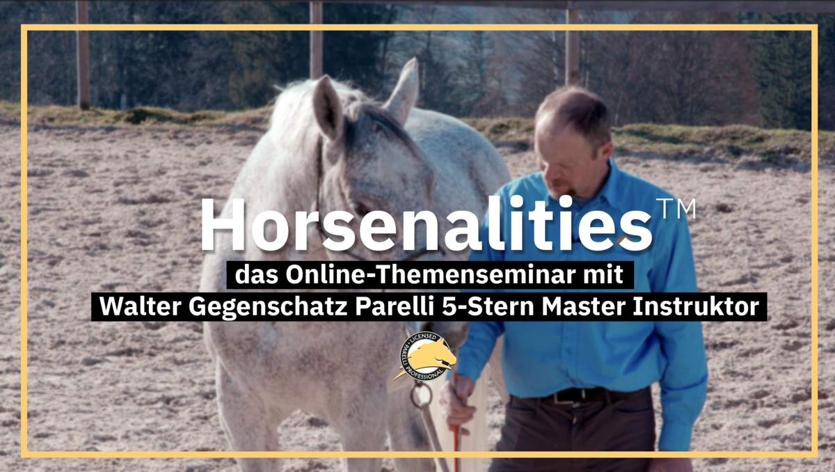 Horsenality Lehr-Video mit Walter Gegenschatz